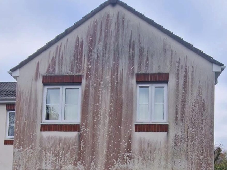 House with heavy red and green algae staining across the render before cleaning House with heavy red and green algae staining across the render before cleaning