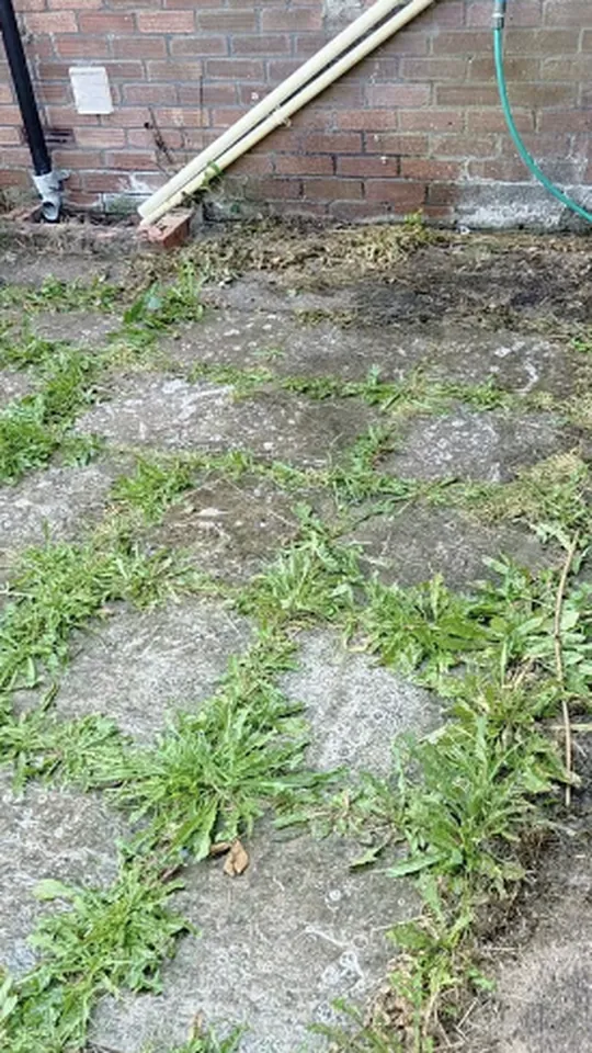 A short Facebook video showing a before and after from a recent job A short Facebook video showing a before and after from a recent job